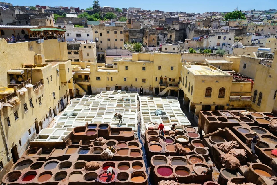 Chouara tannery, Fez Morocco attractions