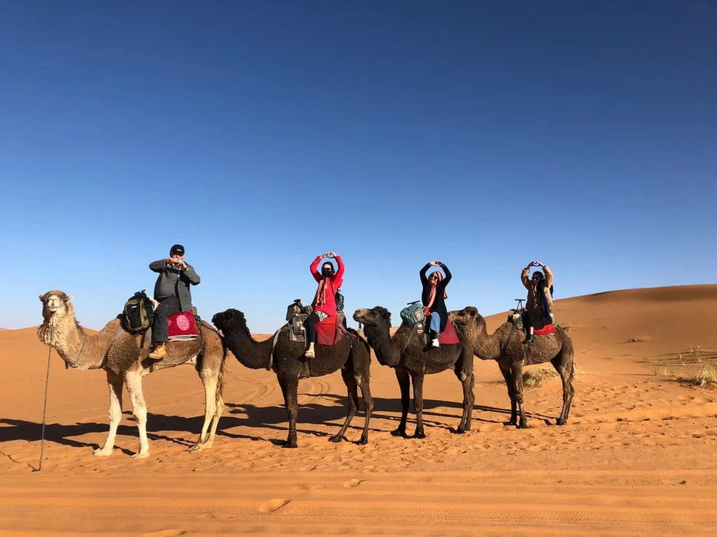 What to do in Marrakech, Marrakech desert tours