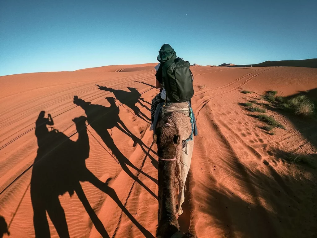 desert trips from Marrakech