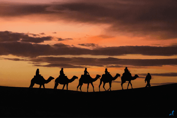 Tourists on a camel trek through the golden dunes of the Merzouga Desert in southern Morocco.