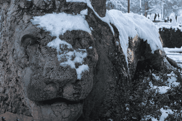 Lion sculpture covered in snow in Ifrane, Morocco, with a serene winter landscape.